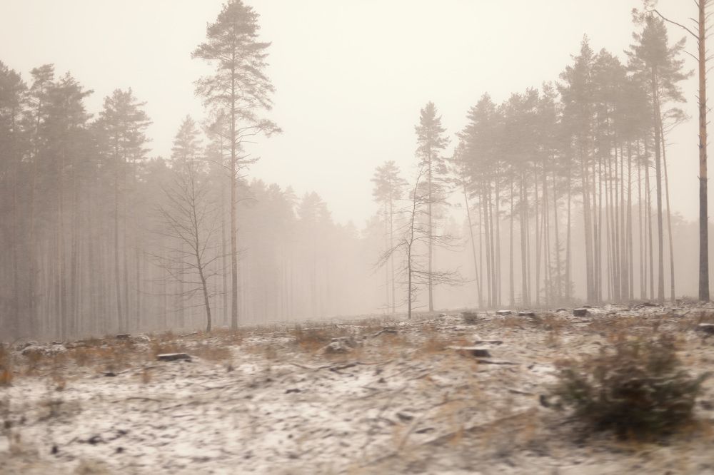 Photograph by Наталья Шалкевич