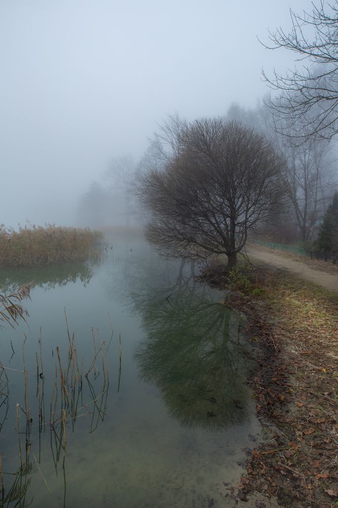 Photograph by Марина Бузина