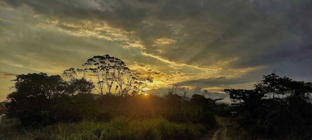 Photograph by William Espinoza