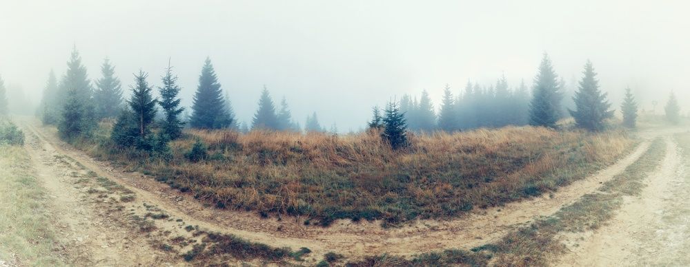 Фотография автора Марина Спильнык