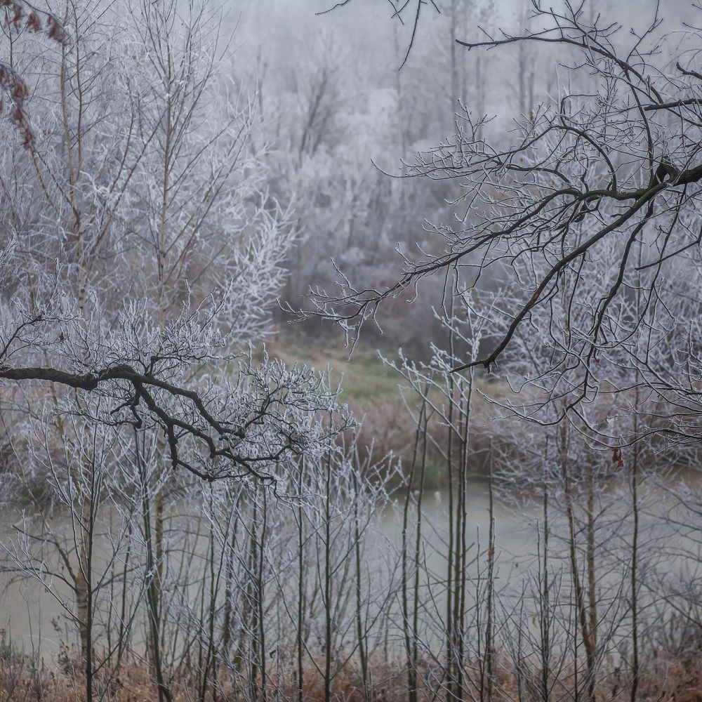 Photograph by Денис Сухачев