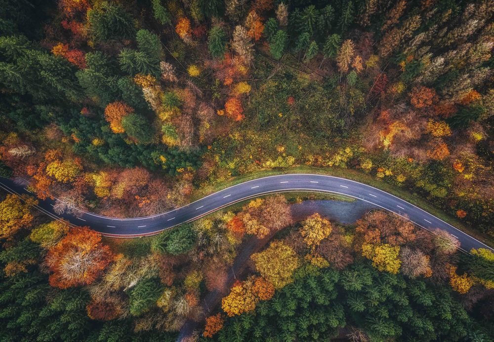 Photograph by Guy Krier