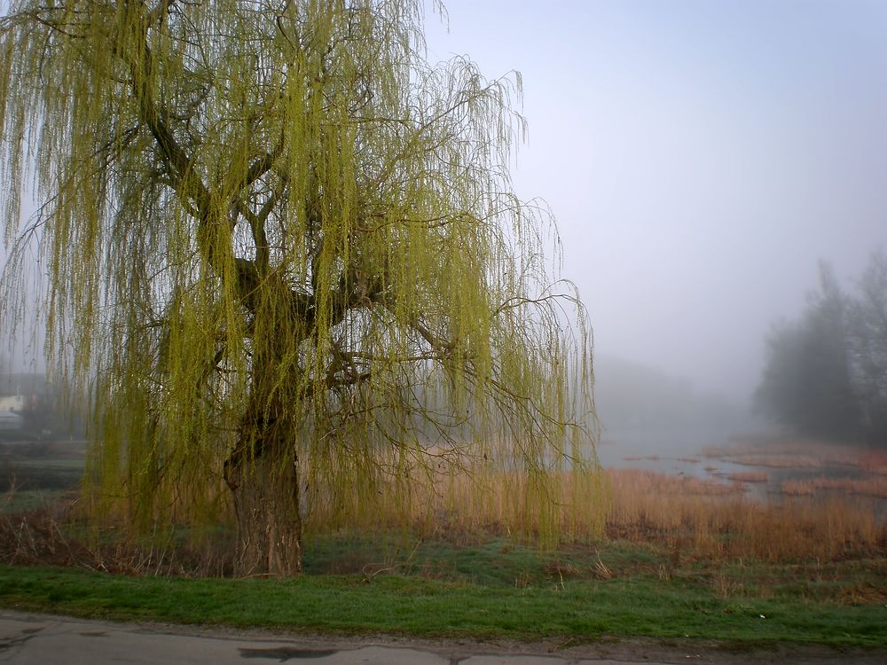 Фотография автора Роман Савоцкий