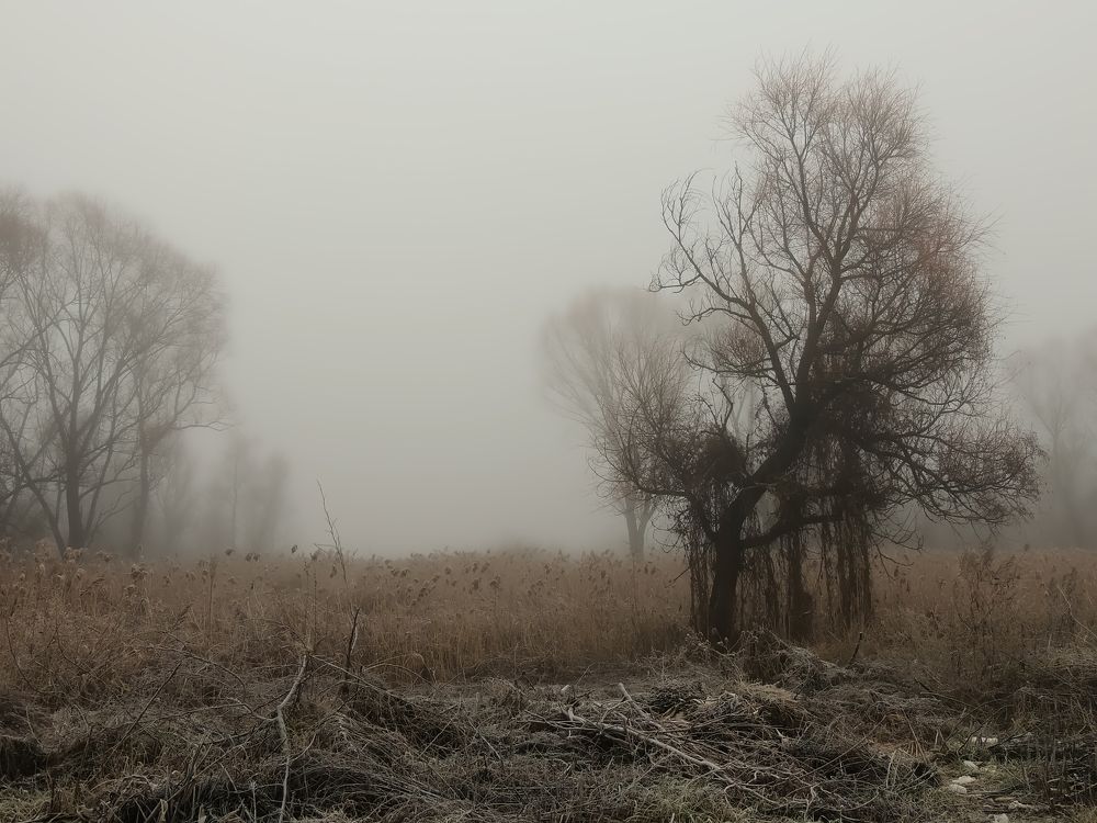 Фотография автора Роман Савоцкий