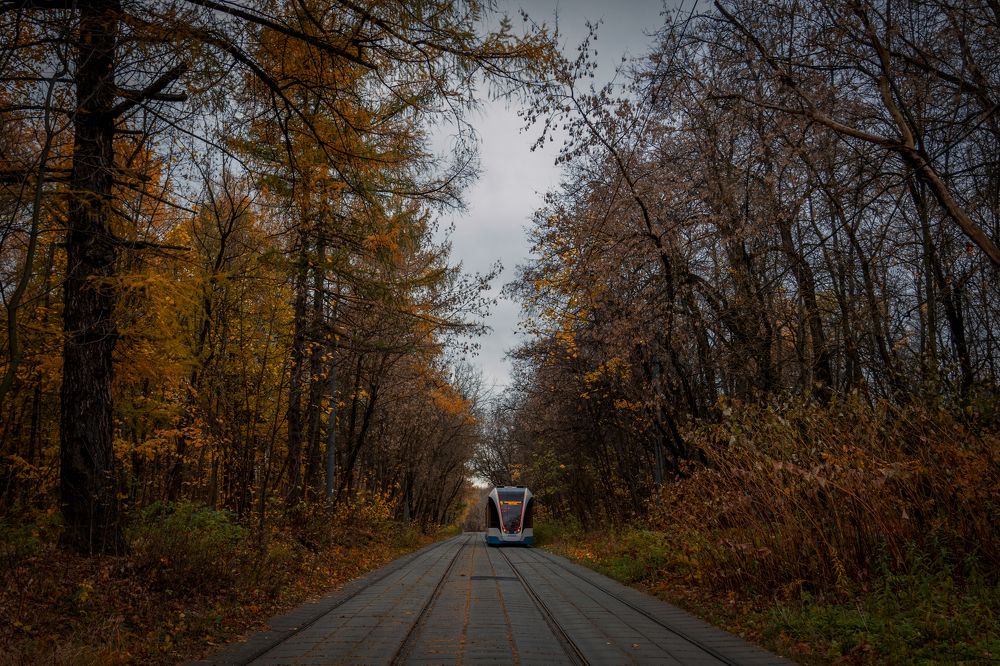 tram in autumn