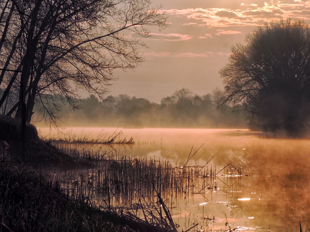 Photograph by Роман Савоцкий