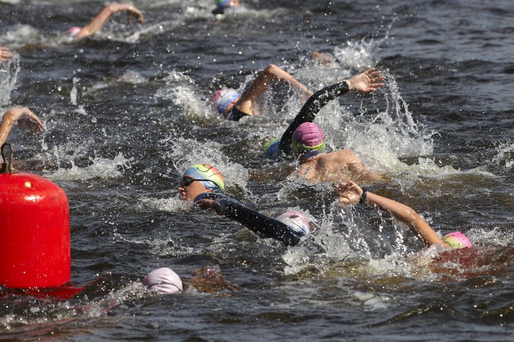 Фотография автора Владимир Борисов