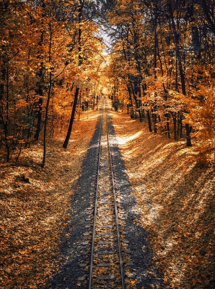 Photograph by Виталий Попов