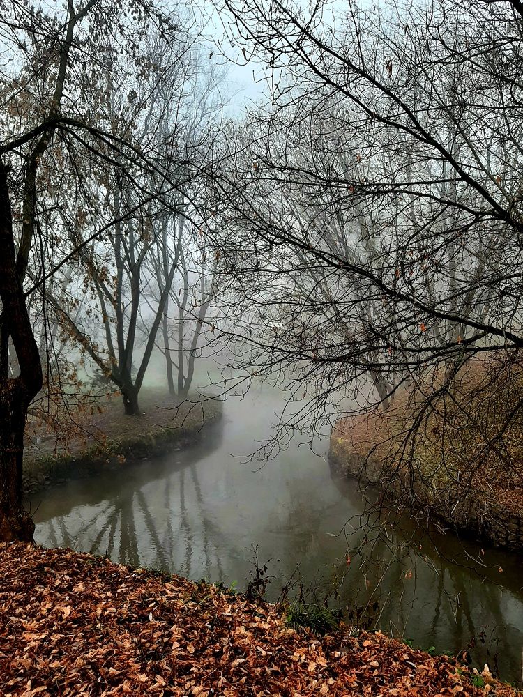 Photograph by Елена