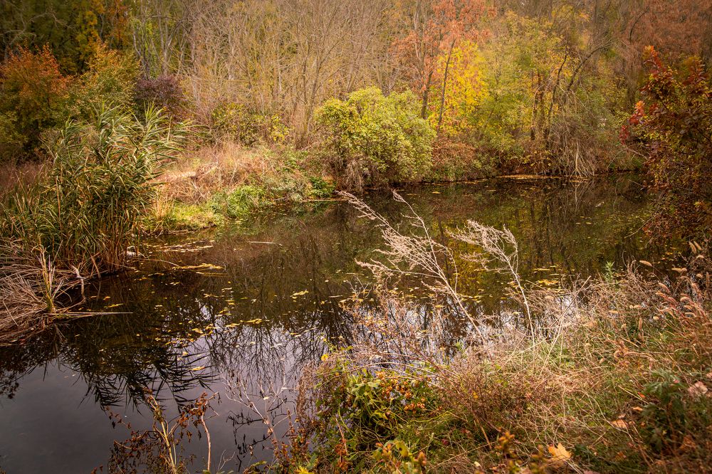 Photograph by Светлана Чужданова