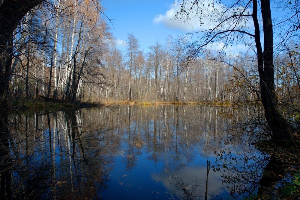 Фотография автора Сергей Чесноков