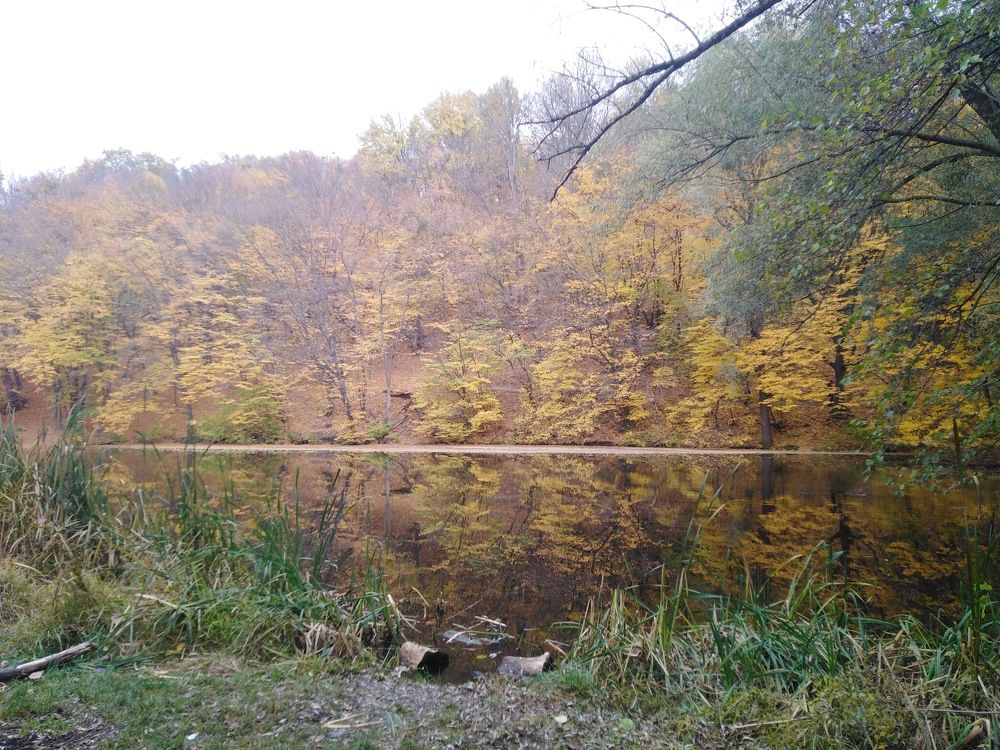 Photograph by Лариса Поляк