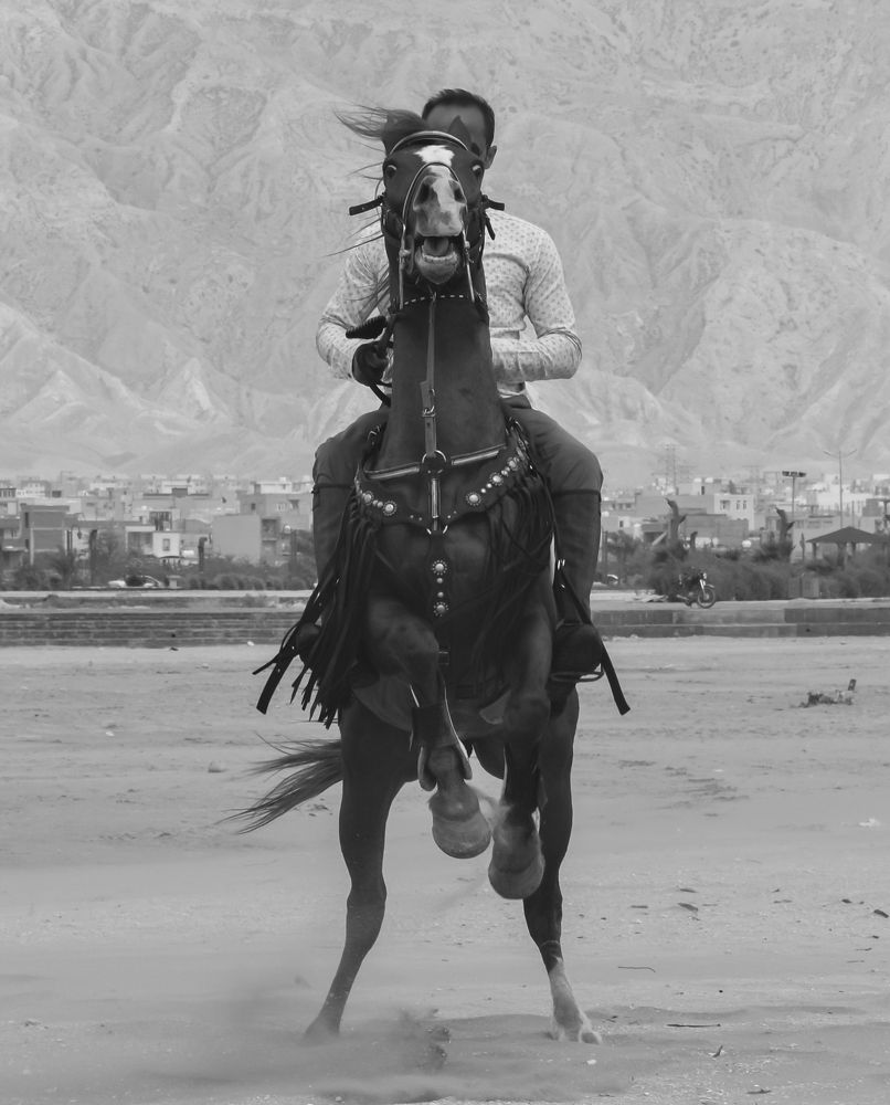 Photograph by Oruji Touraj