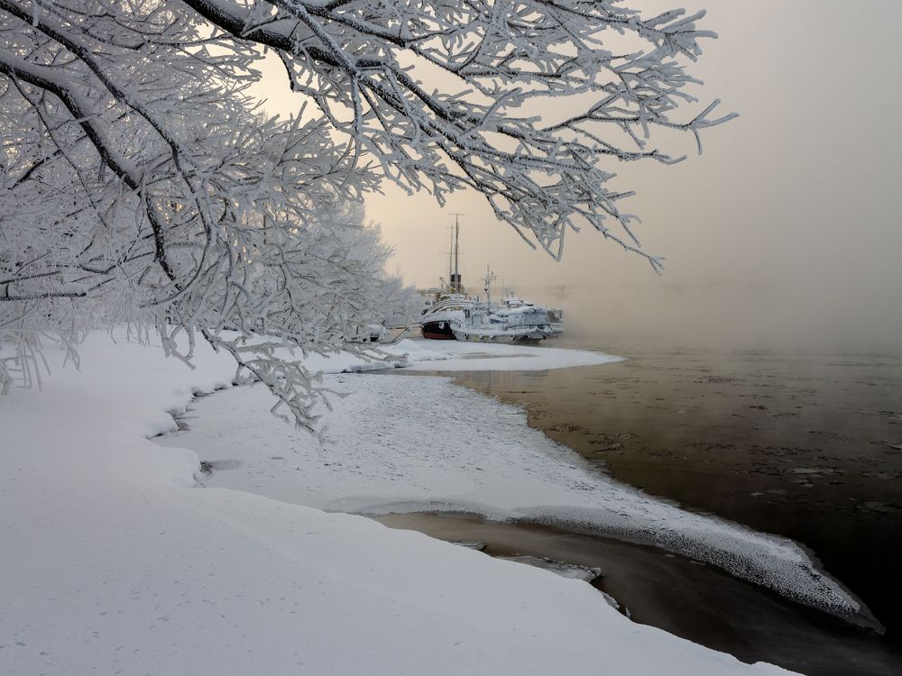 Photograph by Людмила