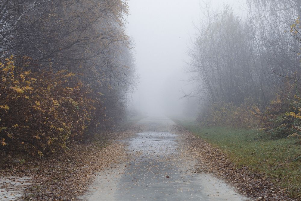 Photograph by Pavlo Lys