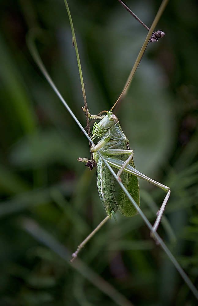 Photograph by Николай Зернов