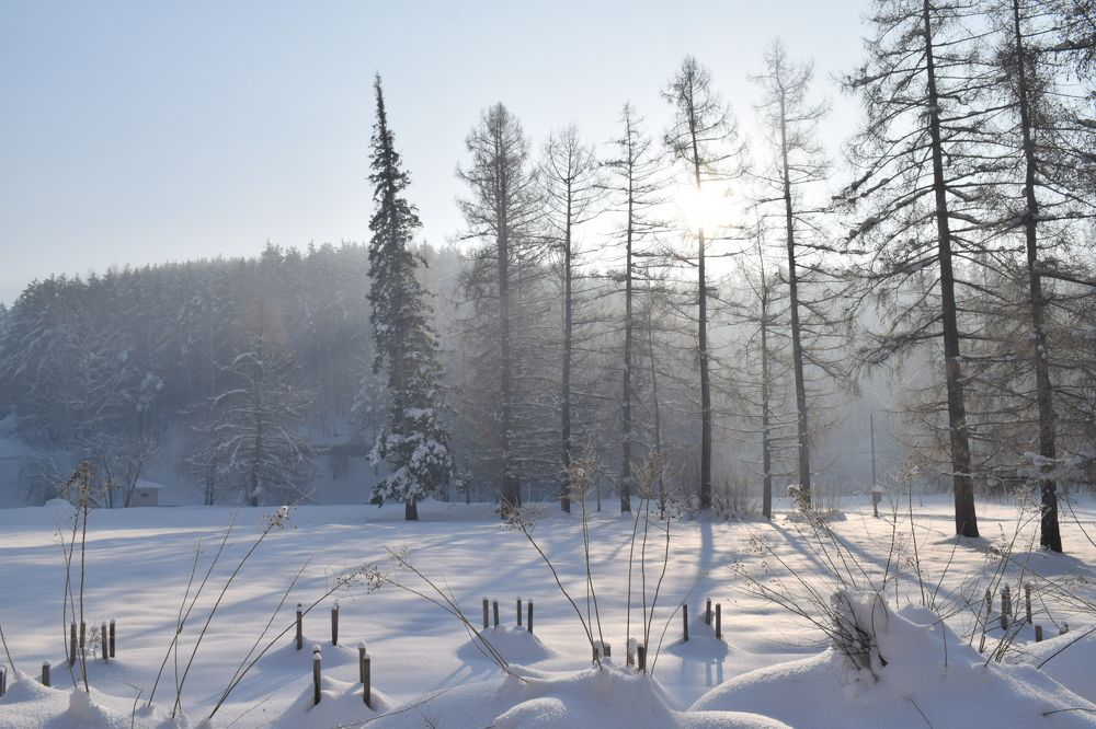 Photograph by Ekaterina