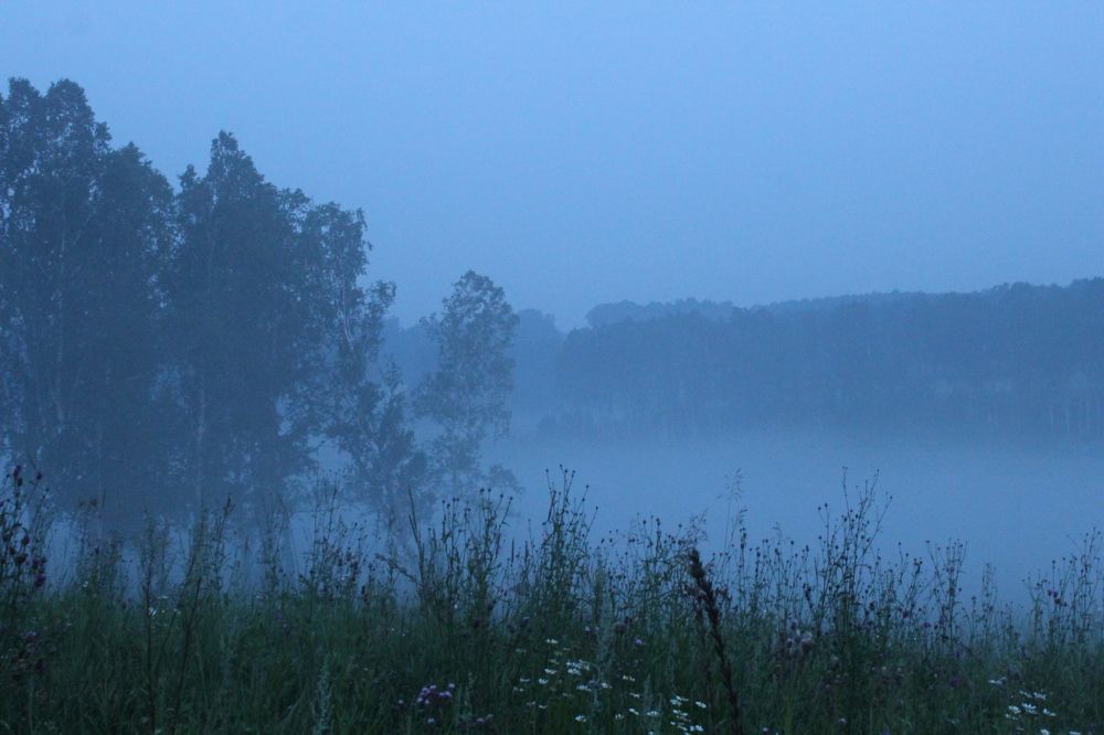 Photograph by Ekaterina