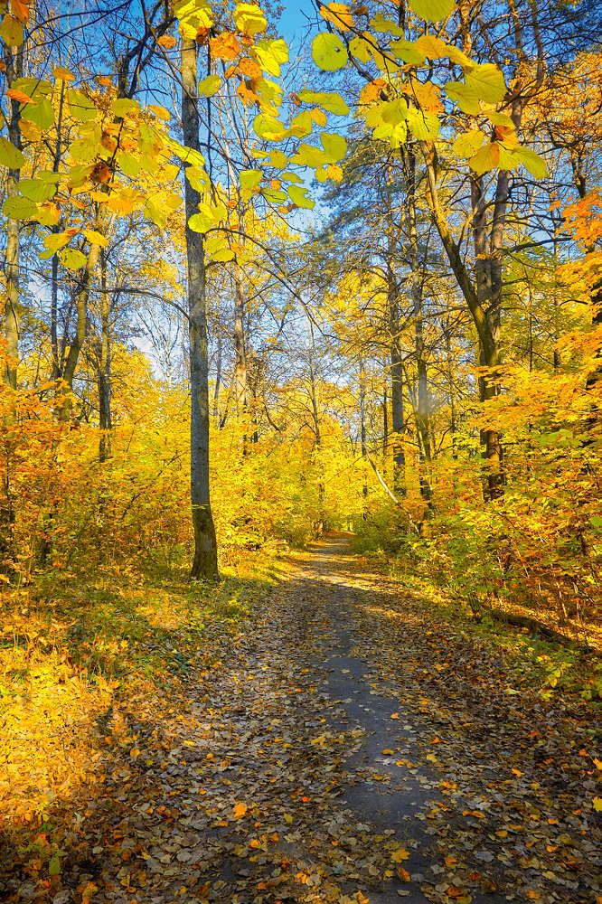 Photograph by Николай Зернов