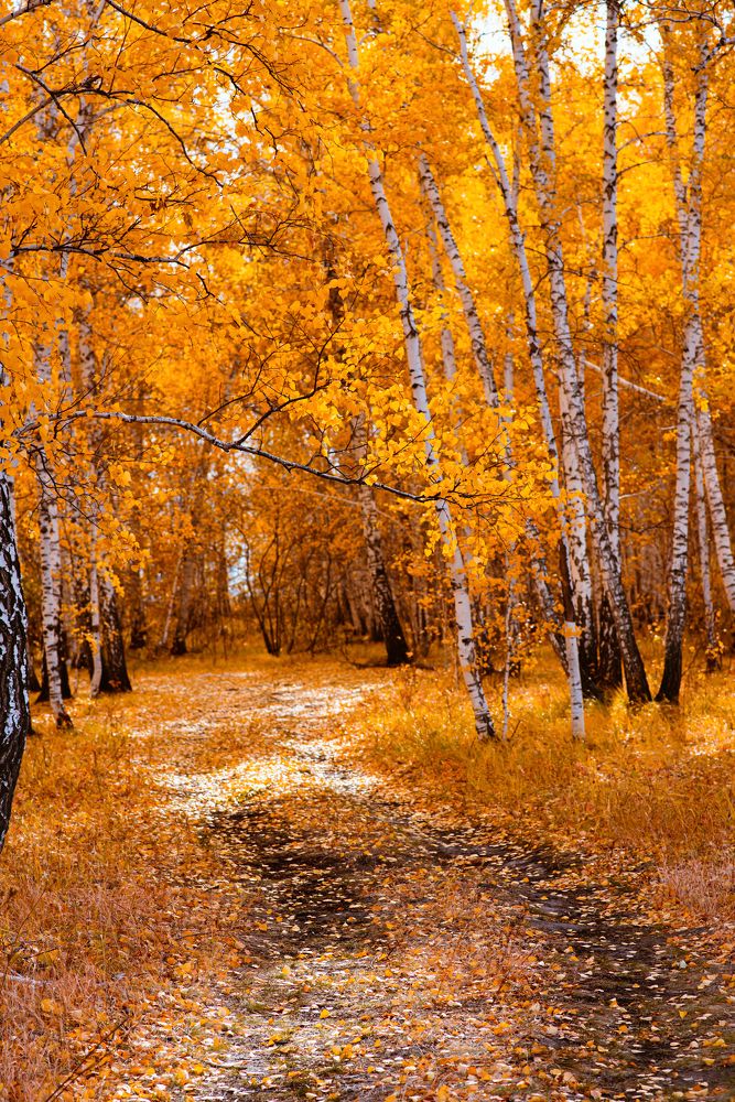 Photograph by Олег Зальвовский