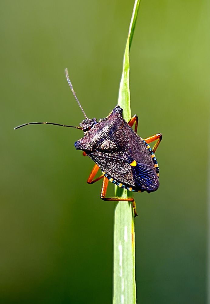 Photograph by Николай Зернов