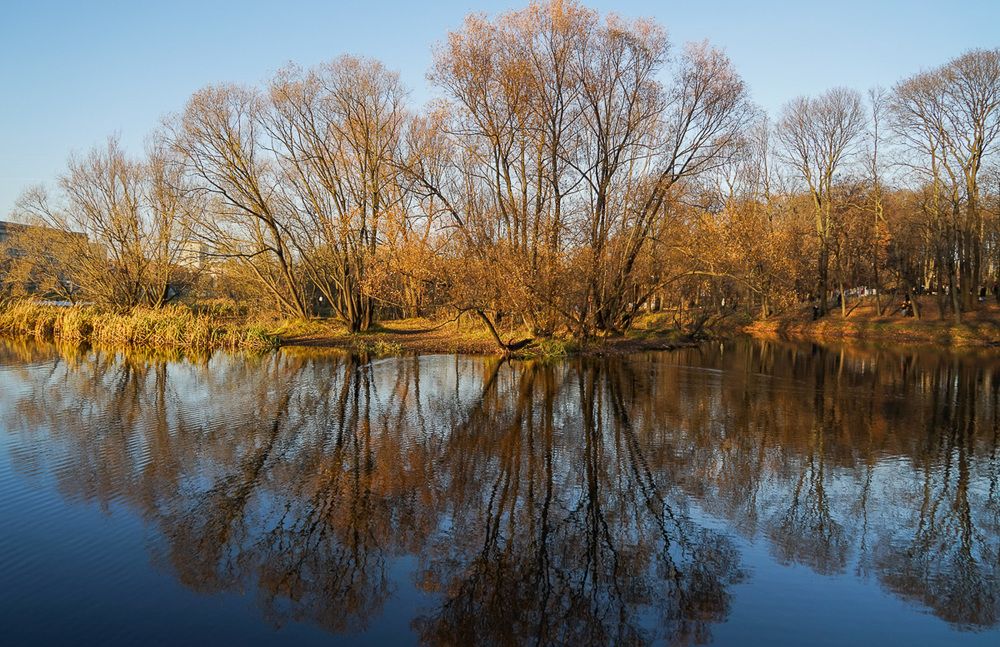 Отражение осени.