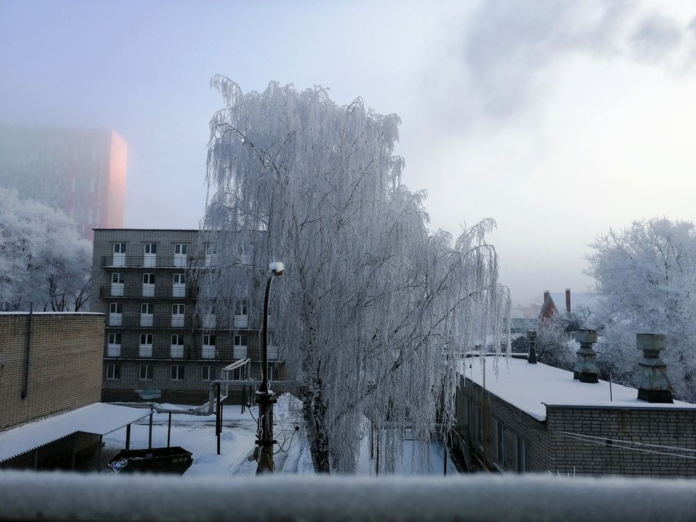 Туман в городе (1)