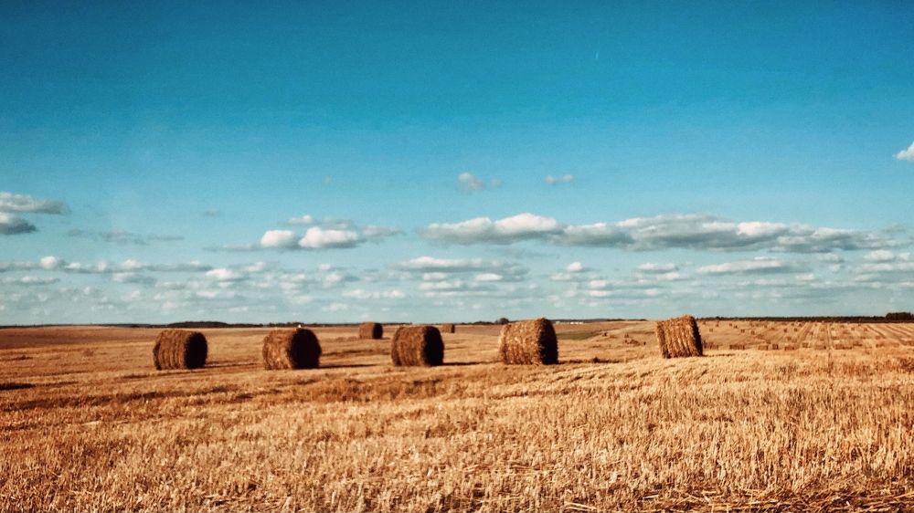 Photograph by Татьяна Тер-Акопова