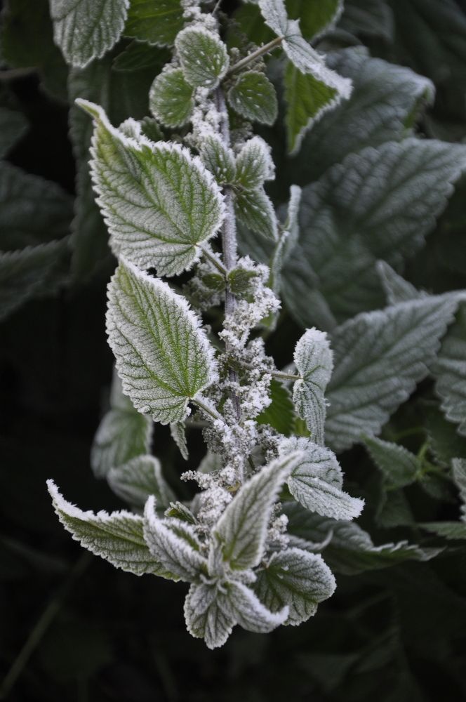 Photograph by Ольга Струкалина