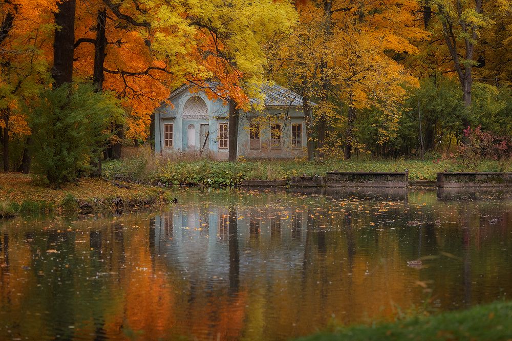 Photograph by Чистякова Валерия