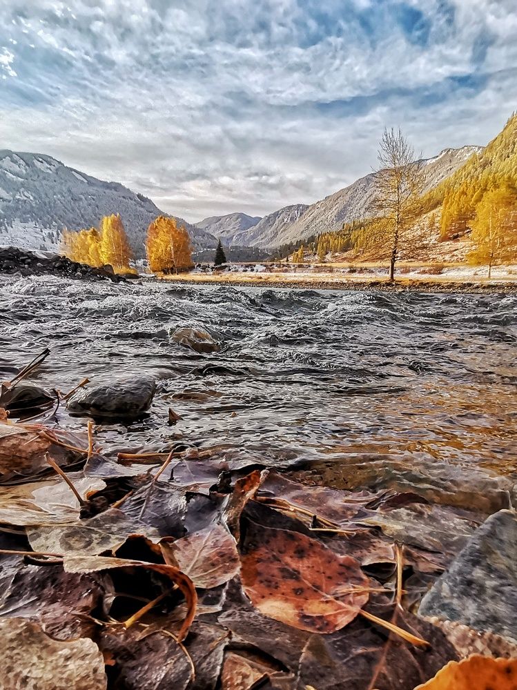 Photograph by Мария Тёмкина