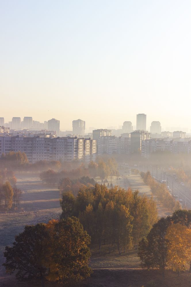 Фотография автора Ольга Войтехович