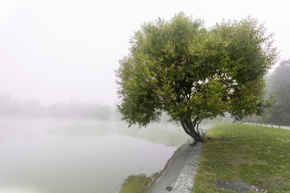 Photograph by Александр Евстигнеев