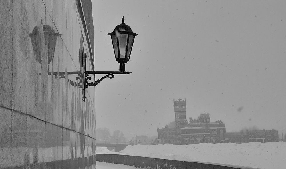 Photo #6689145