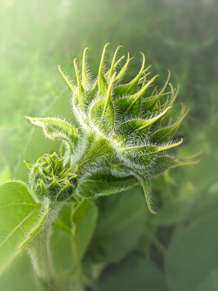 Photograph by Татьяна Сытова