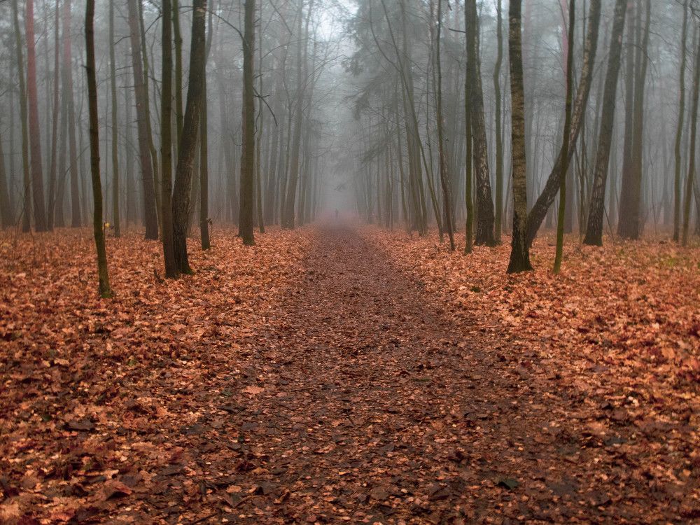 Photograph by Игорь Криулин