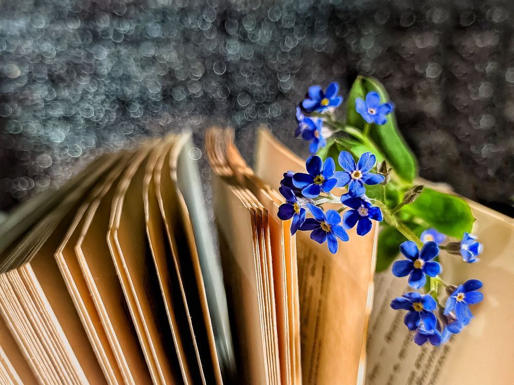 Photograph by Татьяна Сытова