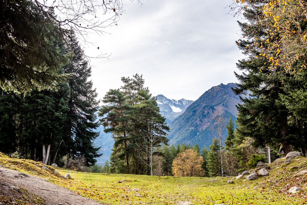 Photograph by Инна Толстореброва