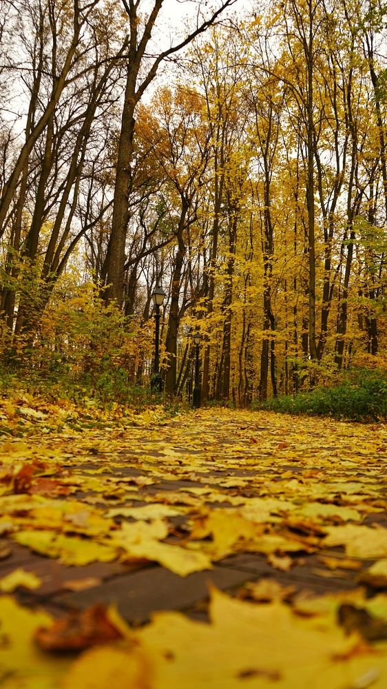 Фотография автора Slim Soyadi