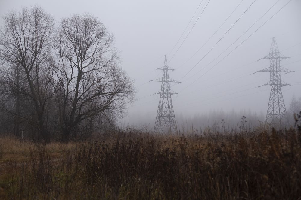 Photograph by Светлана