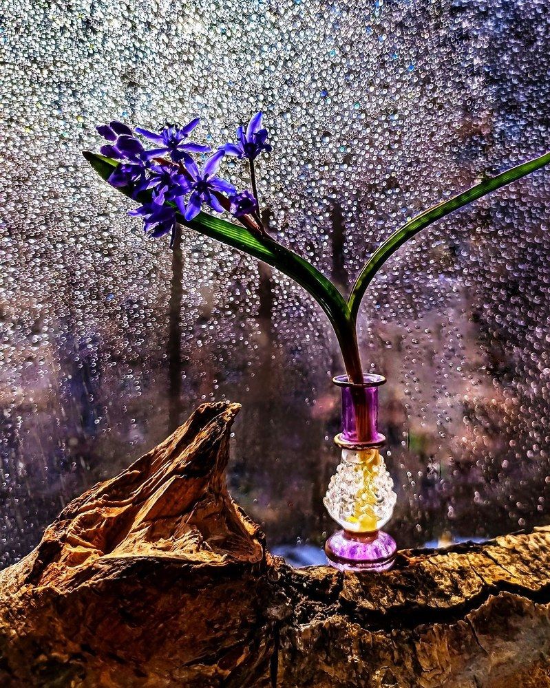 Photograph by Татьяна Сытова