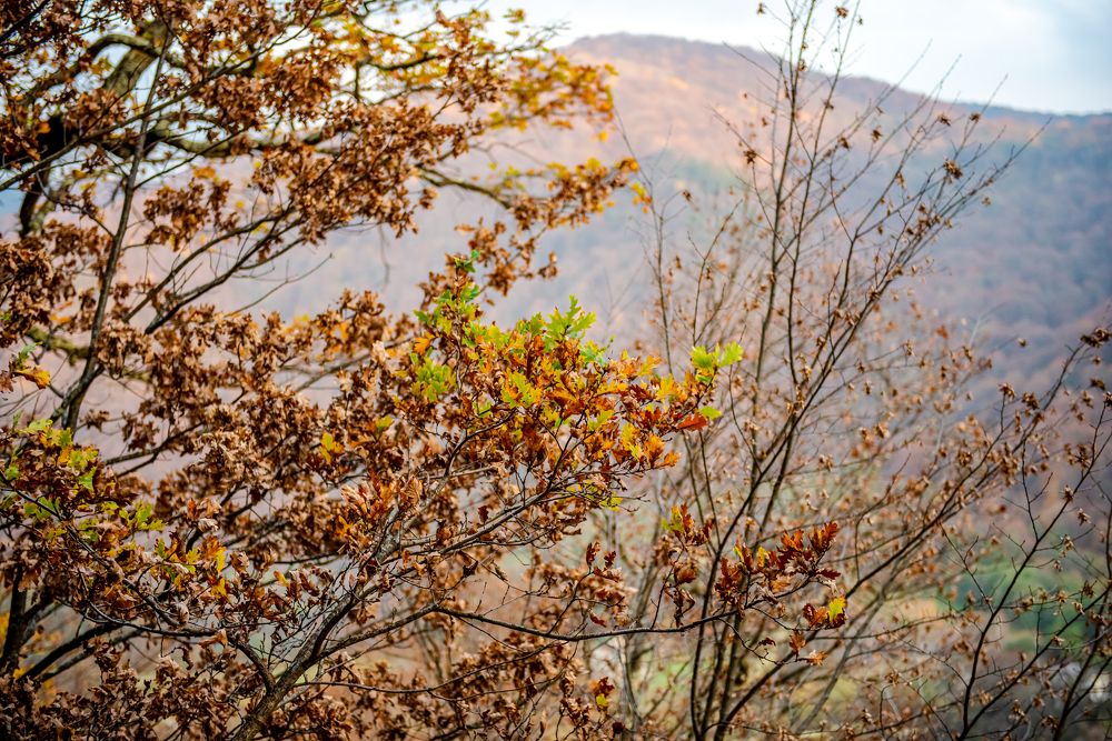 Photograph by Инна Толстореброва