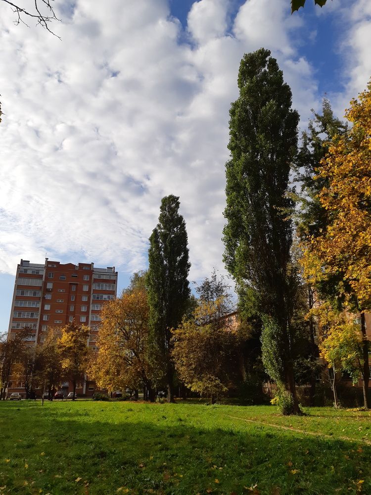 Фотография автора Ирина Лукьянчик