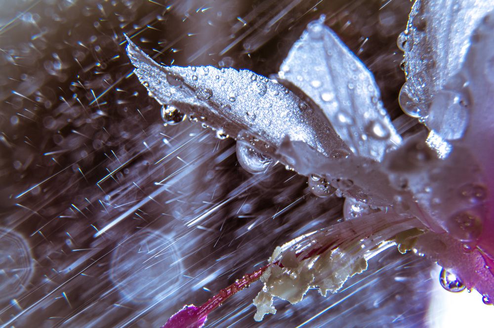 Photograph by Вячеслав Смеликов