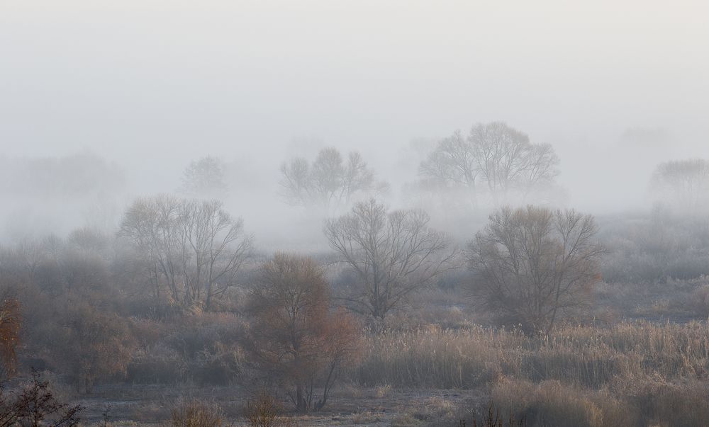 Photograph by Сергей Алексеев