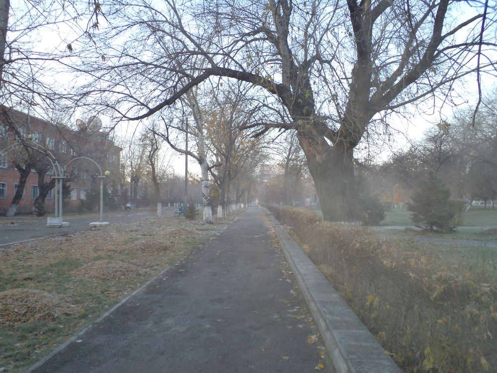 Photograph by Нурлан Кушкунов