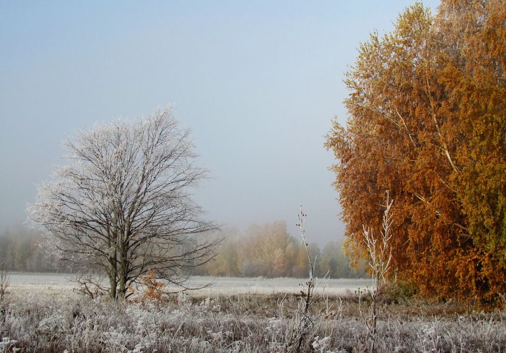 Краски осени