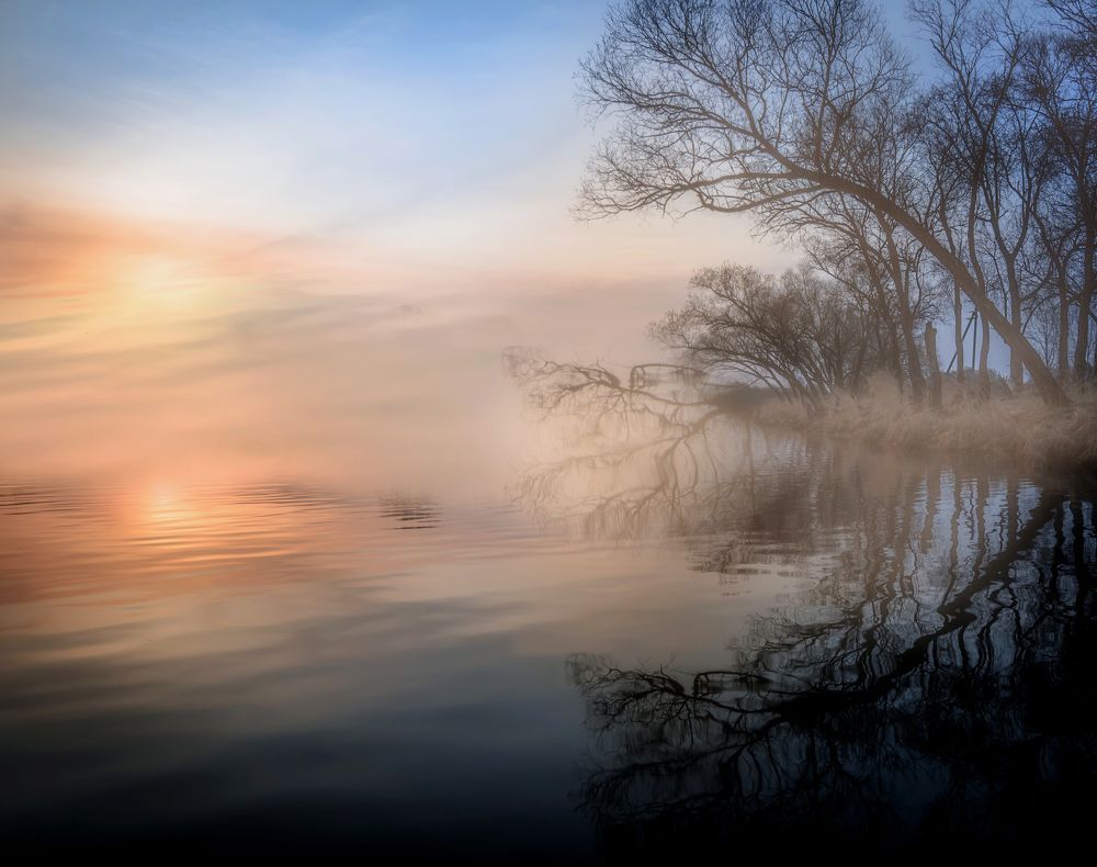 Photograph by Константин Яковлев