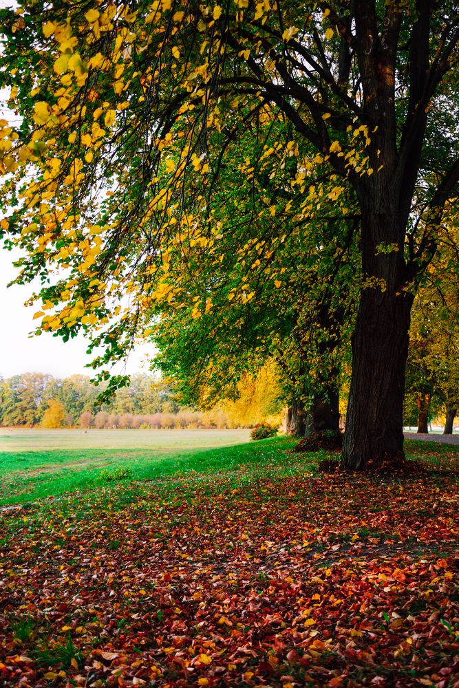 Photograph by Константи Араздурдыев