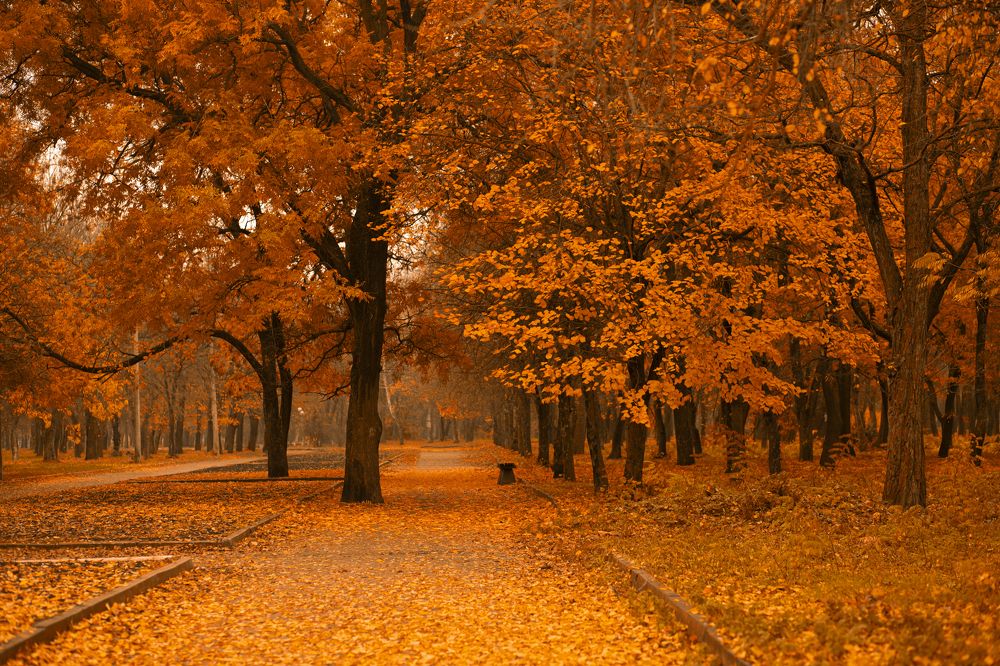 Photograph by Людмила Колесниченко